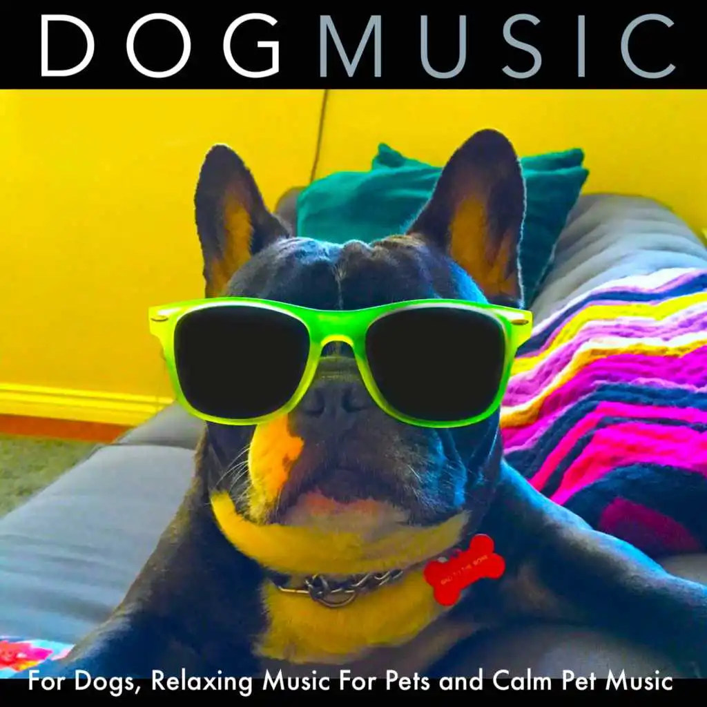 Dog Music for Dogs, Relaxing Music for Pets and Calm Pet Music