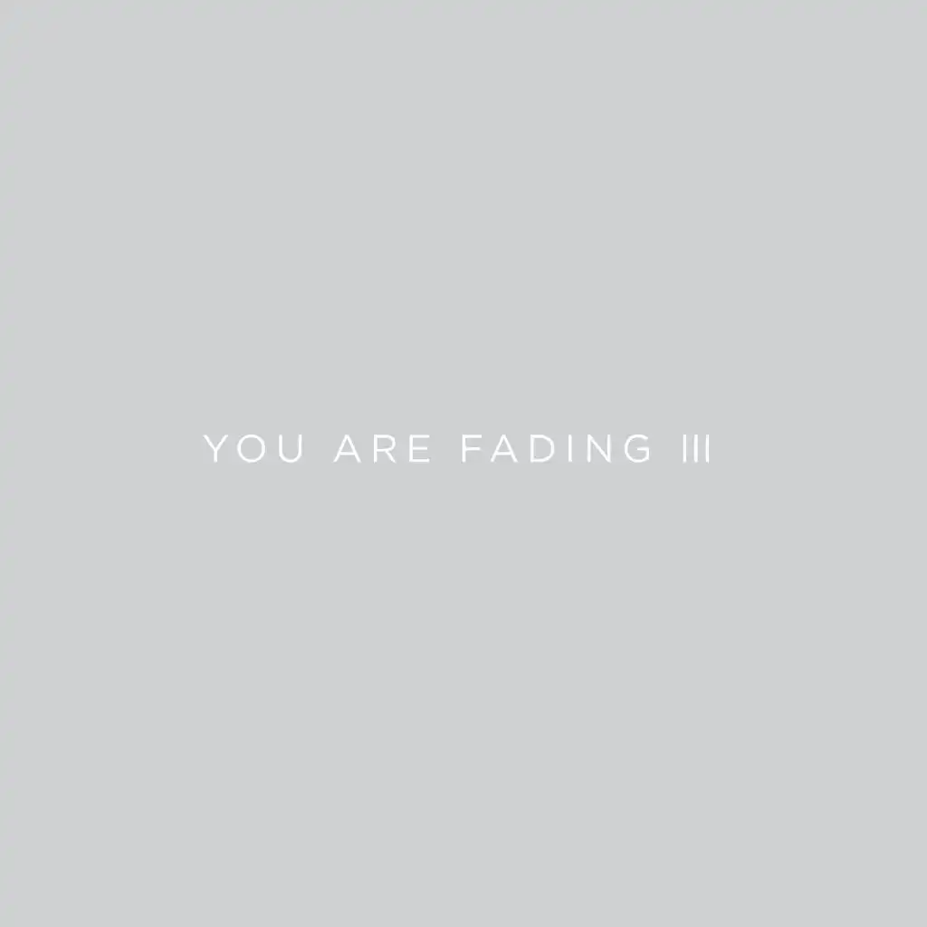 You Are Fading, Vol. 3 (Bonus Tracks 2005 - 2010)