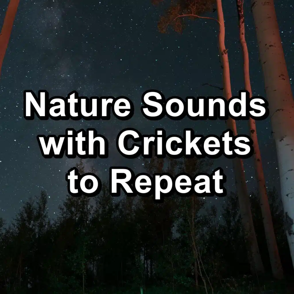 Sleep with Crickets in the Morning for Babies