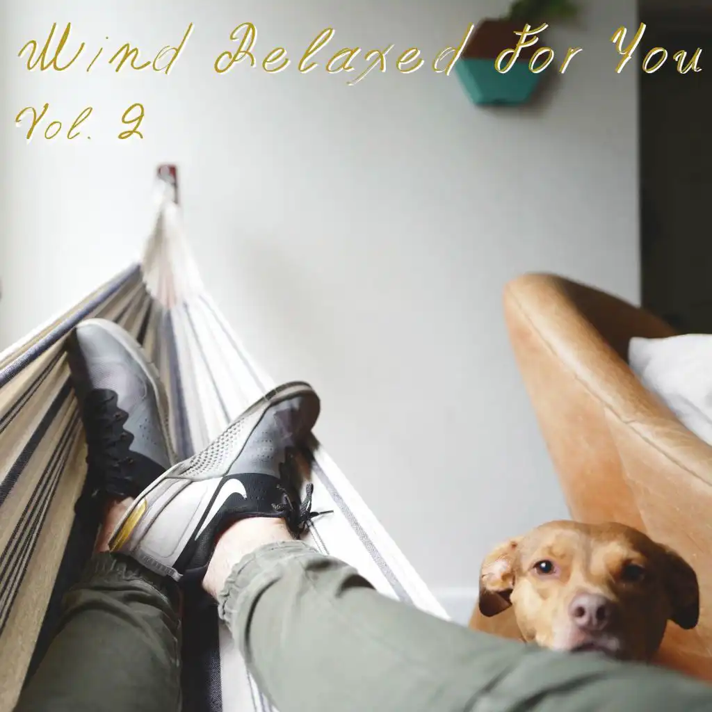 Mind Relaxed for you Vol. 2