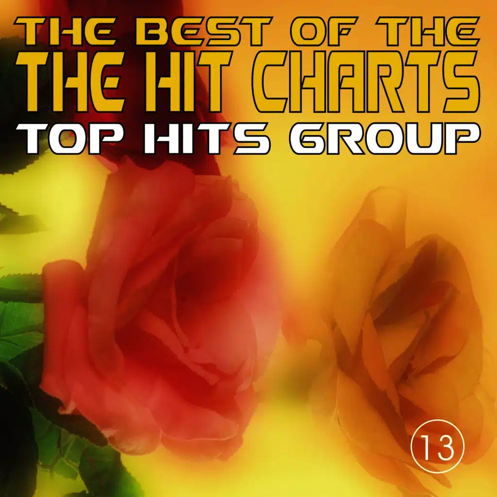 The Best of the Hit Charts, Vol. 13
