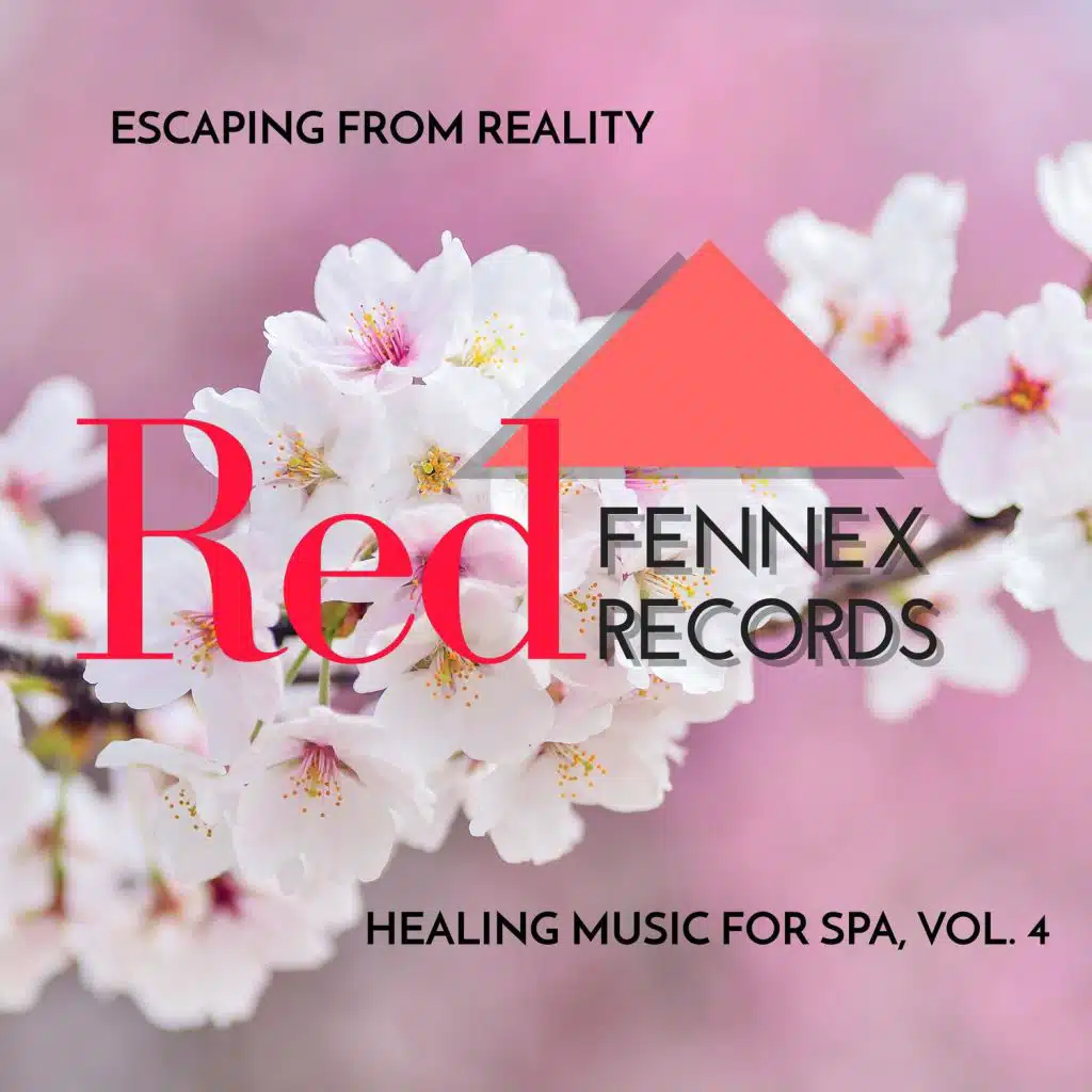 Escaping From Reality - Healing Music For Spa, Vol. 4