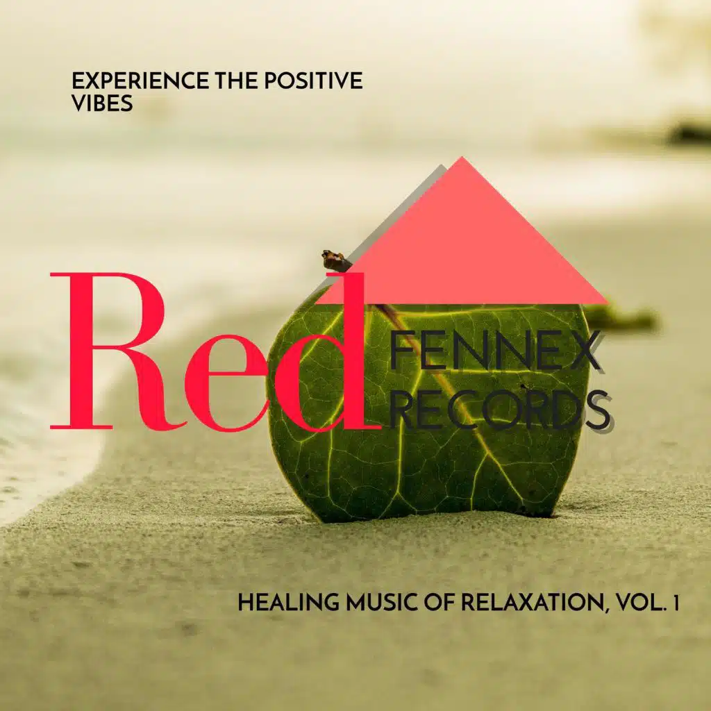 Experience The Positive Vibes - Healing Music Of Relaxation, Vol. 1