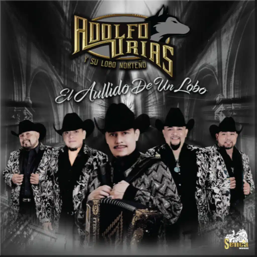 El Aullido De Un Lobo