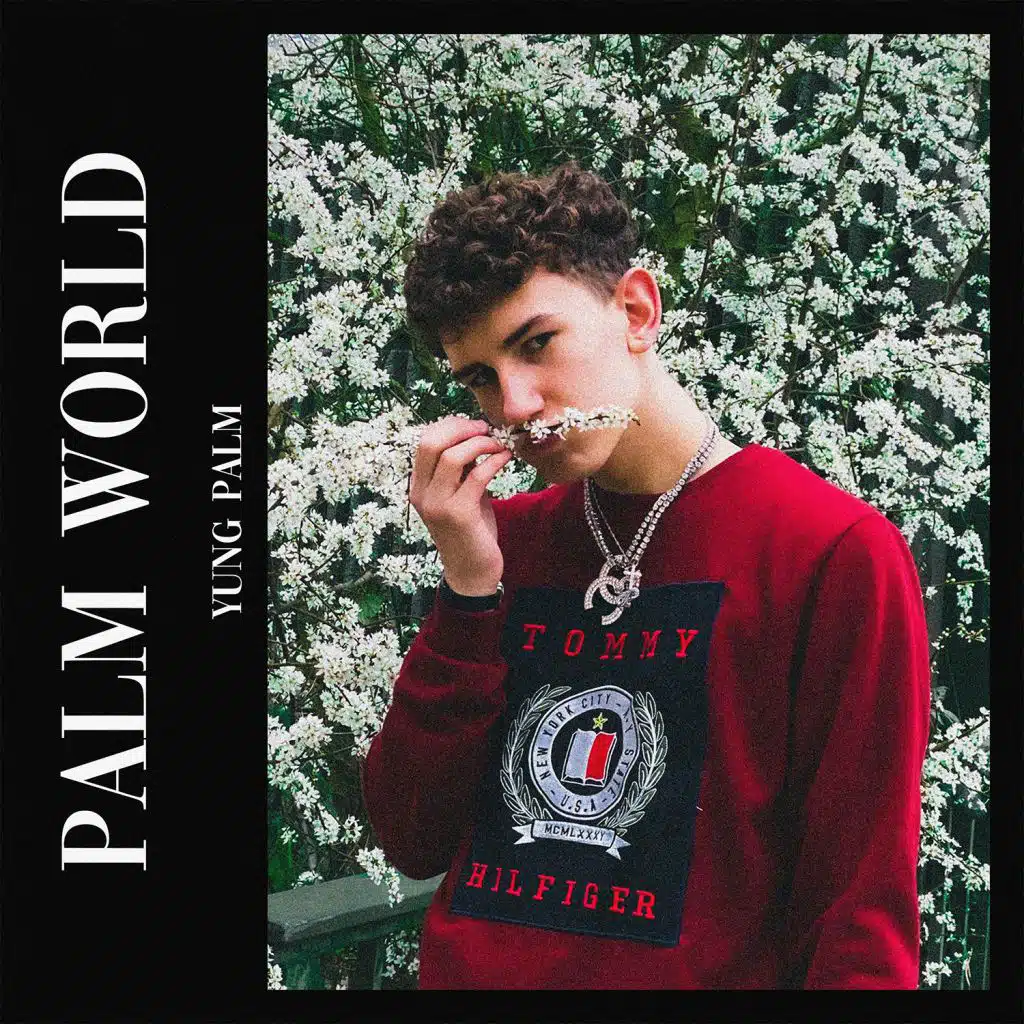 Palm World