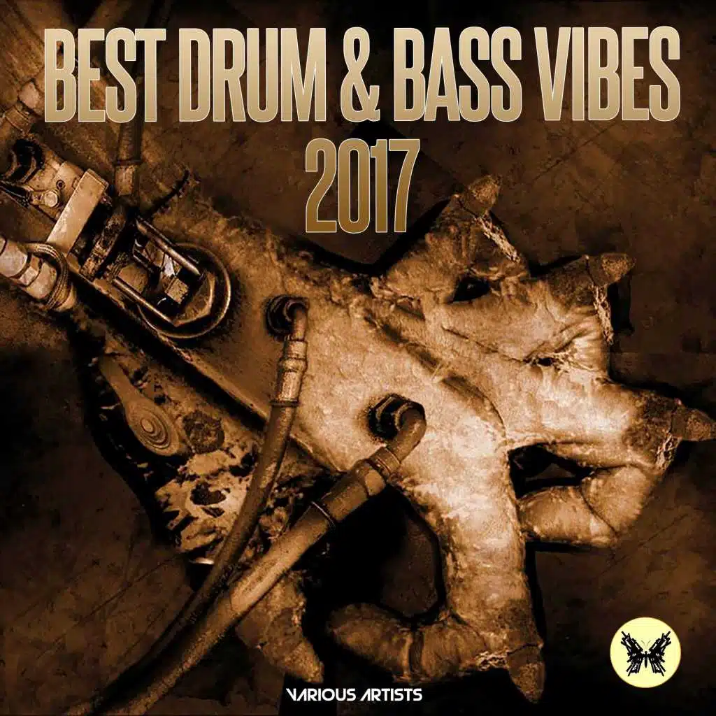 Best Drum & Bass Vibes 2017