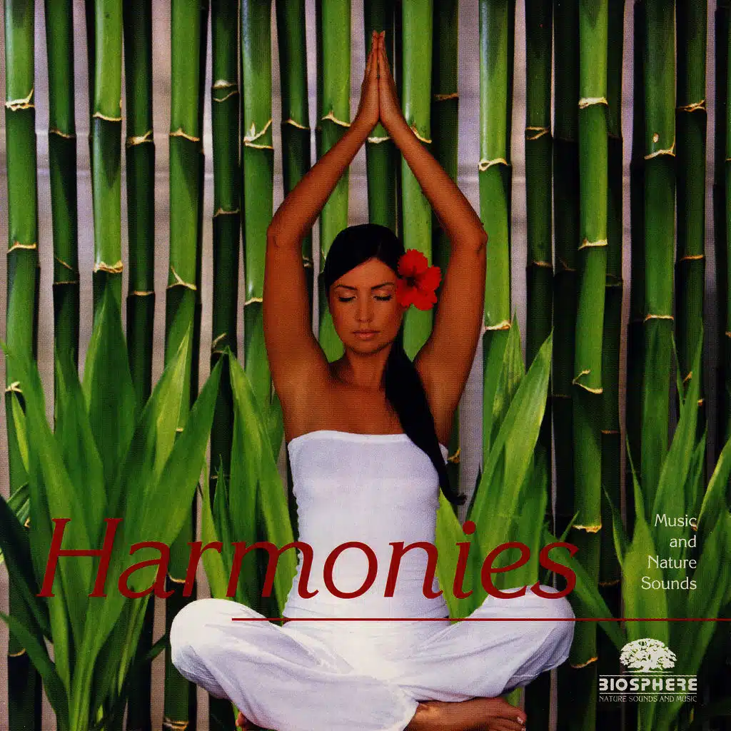 L'infini / Infinity / Oneindigheid