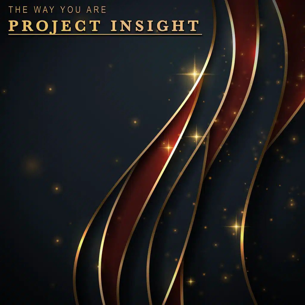 Project Insight