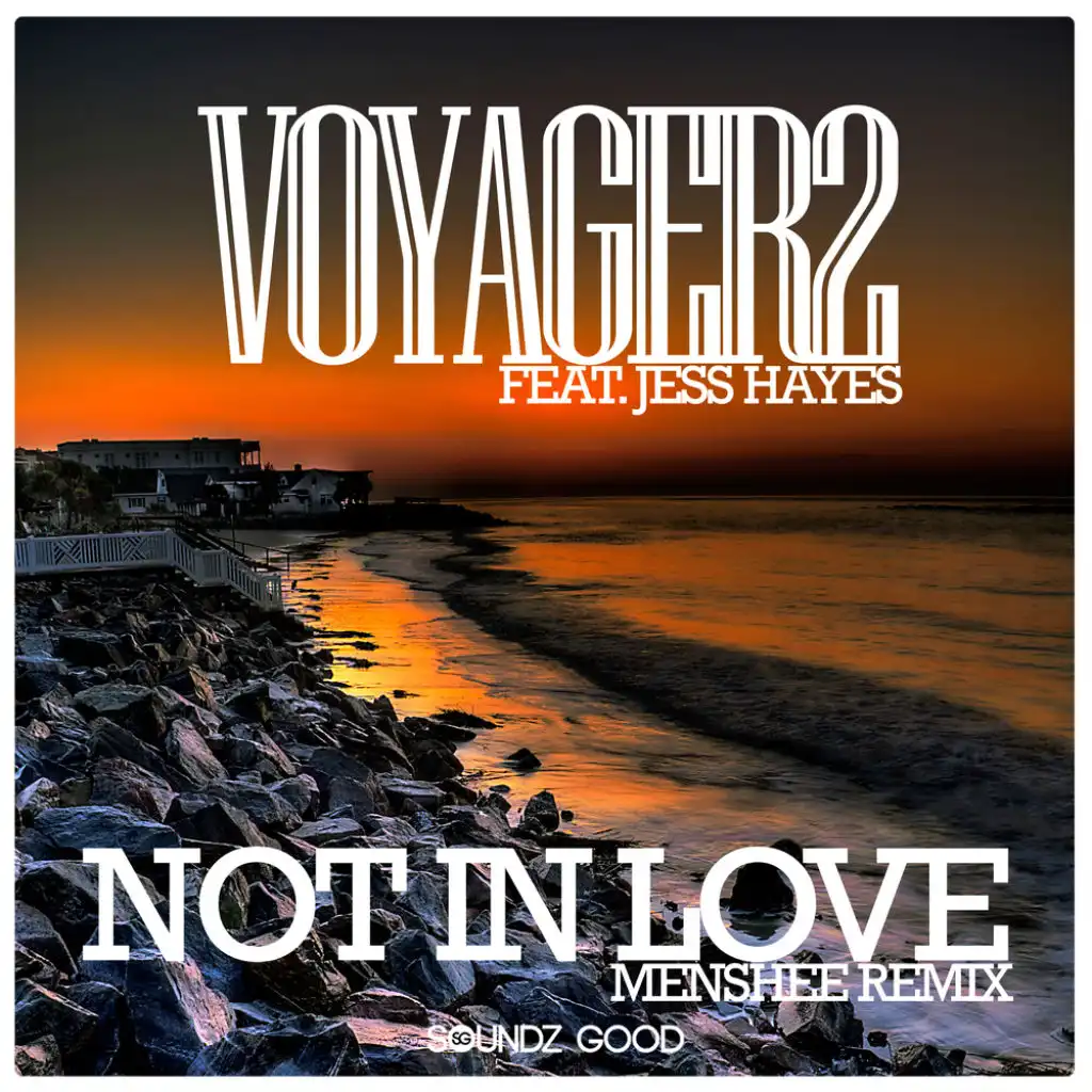 Not In Love (Menshee Remix) [feat. Jess Hayes]