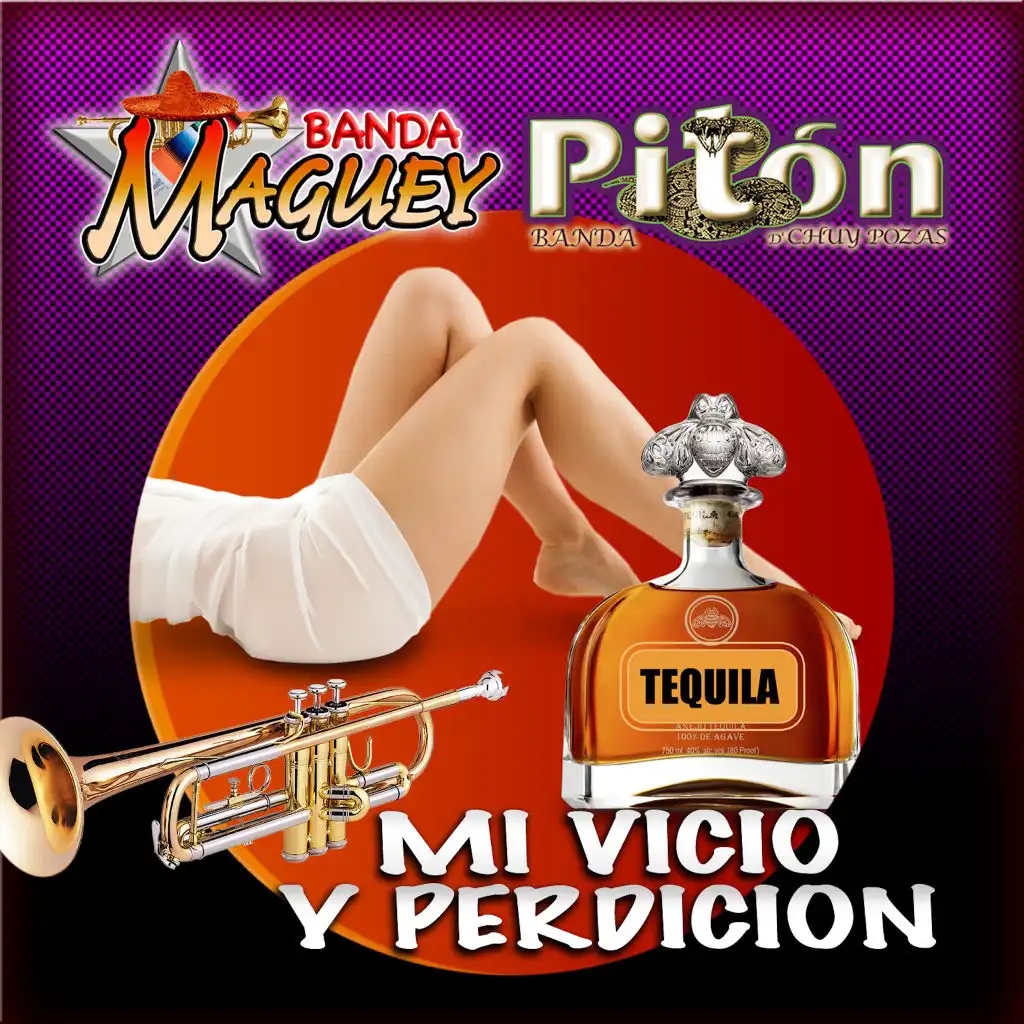 Banda Piton & Banda Maguey