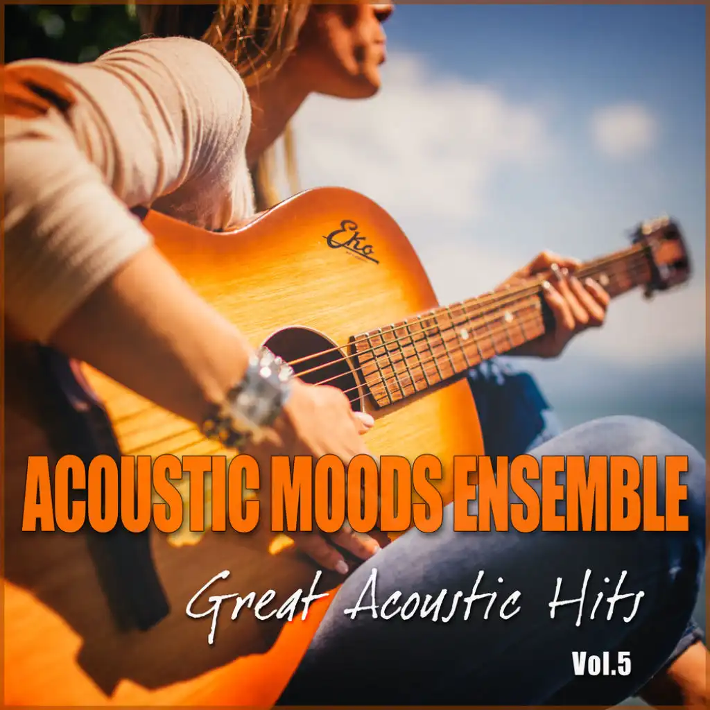 Great Acoustic Hits Vol. 5