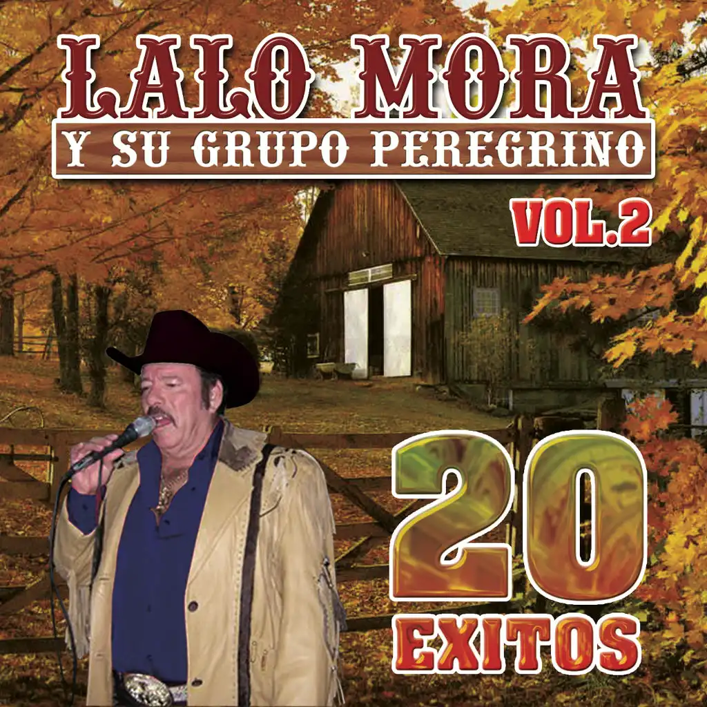 20 Exitos, Vol. 2