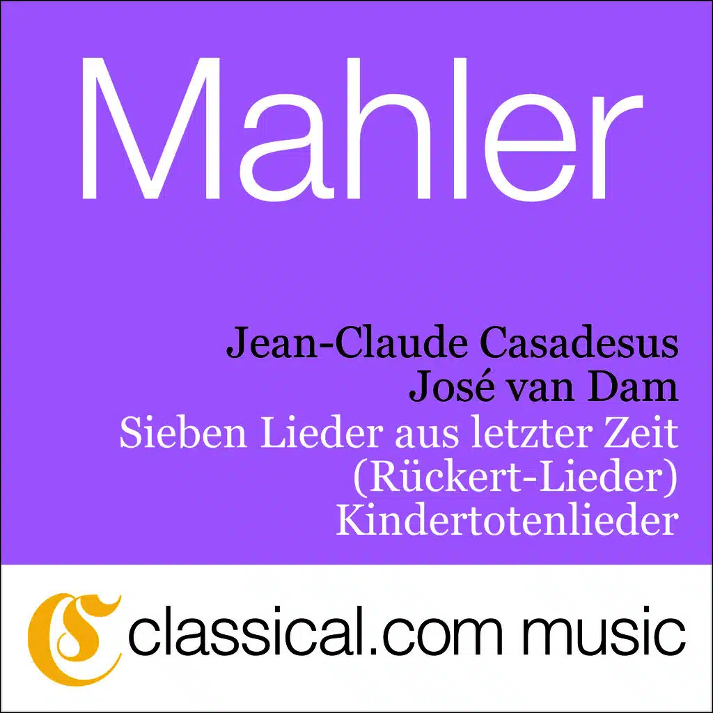 Kindertotenlieder - Nun seh' ich wohl warum so dunkle Flammen