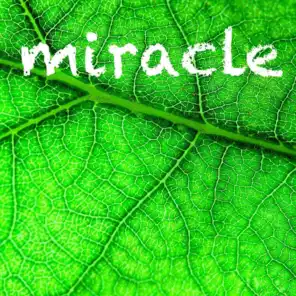 Miracle (feat. Chantal Kreviazuk)