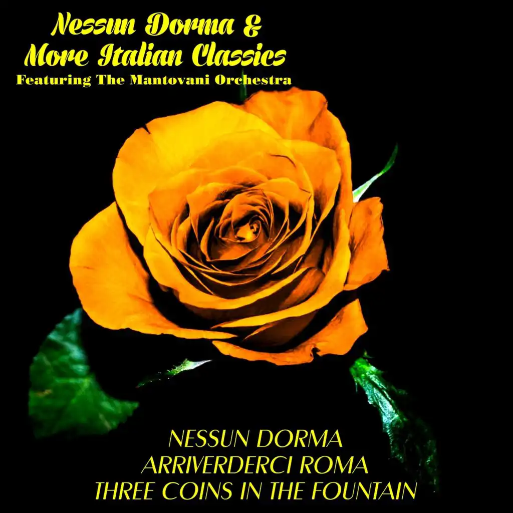 Nessun Dorma