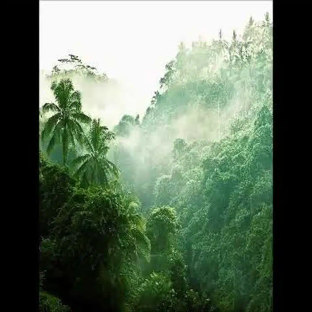 سورة التوبة 1