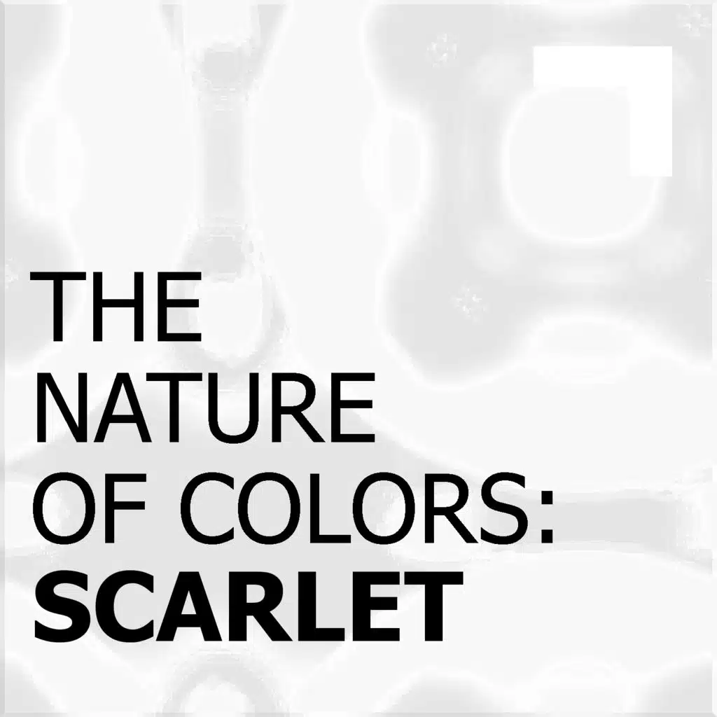 The Nature of Colors: White