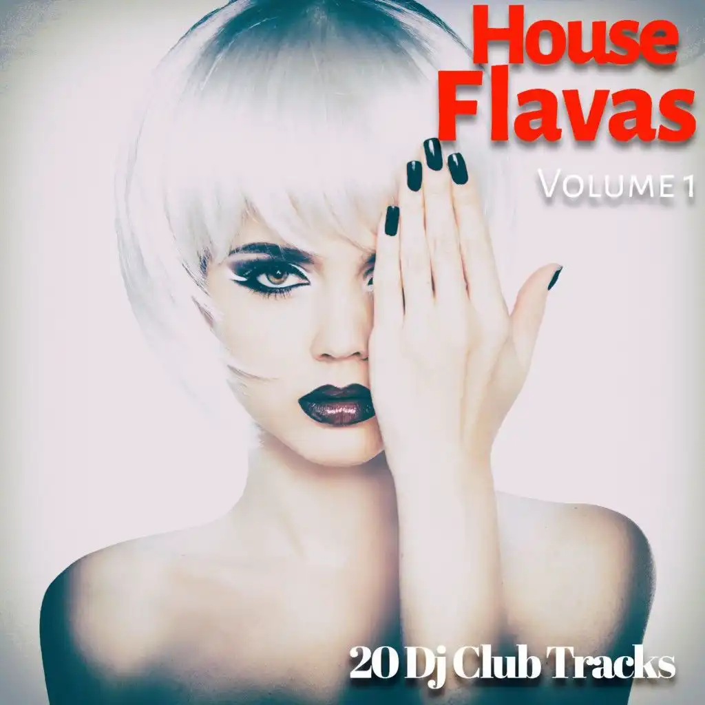 House Flavas, Vol. 1 (20 DJ Club Tracks)