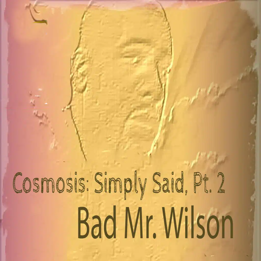 Cosmosis: Simply Said, Pt. 2