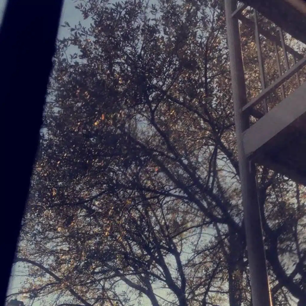 If We Make It Out Alive