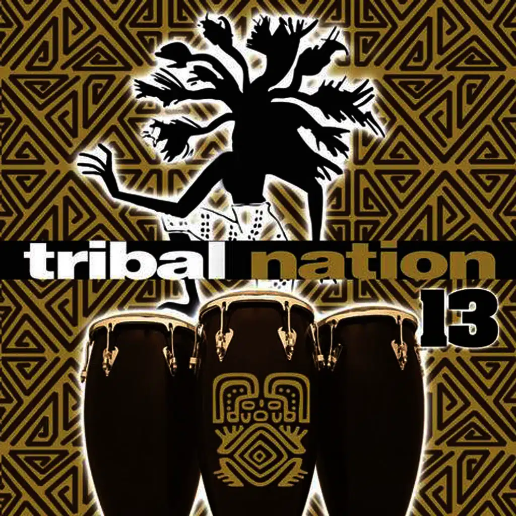 Tribal Nation 13