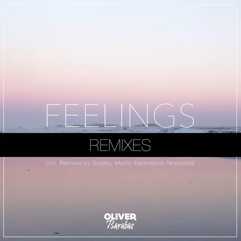 Feelings Remixes