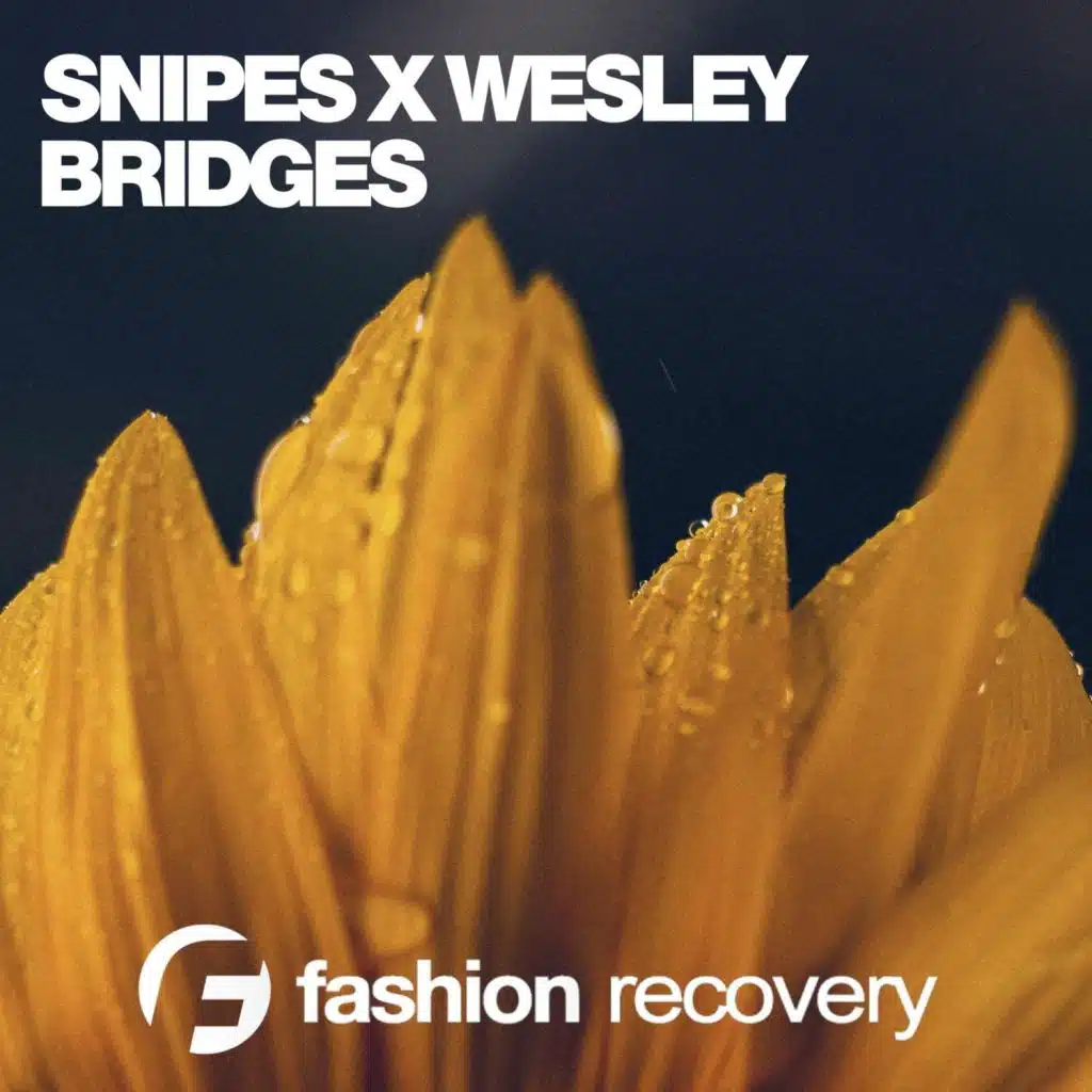 Bridges (Martin Landers Remix)