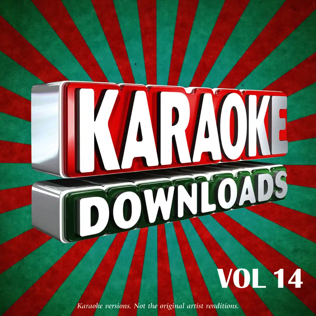 Karaoke Downloads Vol.14