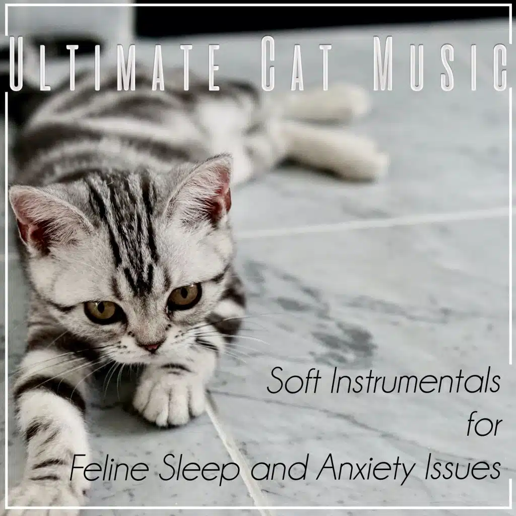 Ultimate Cat Music: Soft Instrumentals for Feline Sleep and Anxiety Issues