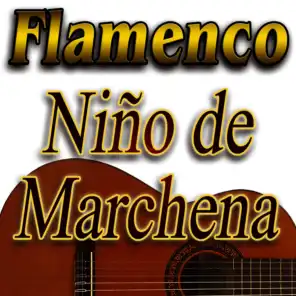 Flamenco Puro