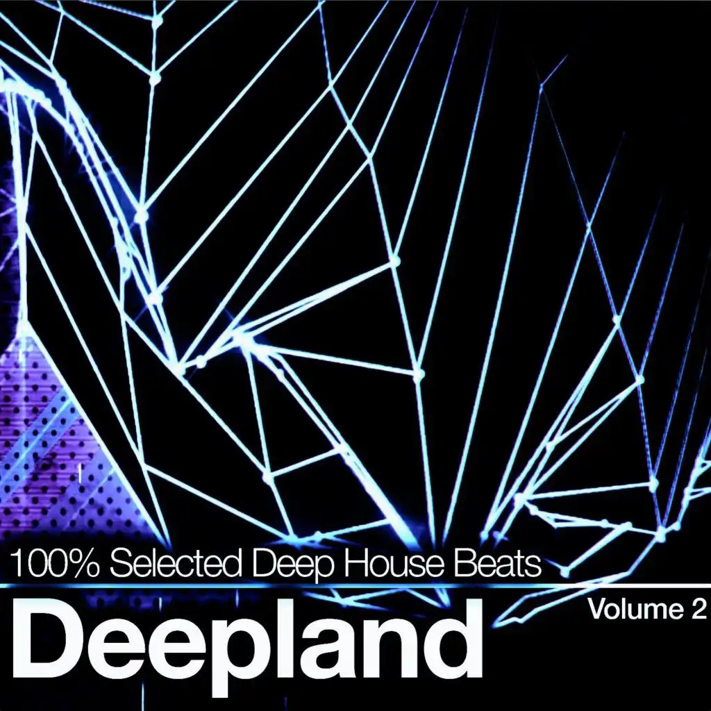 Deepland Vol. 2 (100% Selected Deep House Beats)