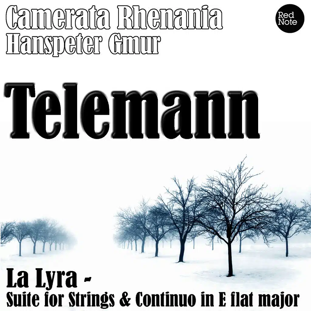 Camerata Rhenania, Hanspeter Gmür