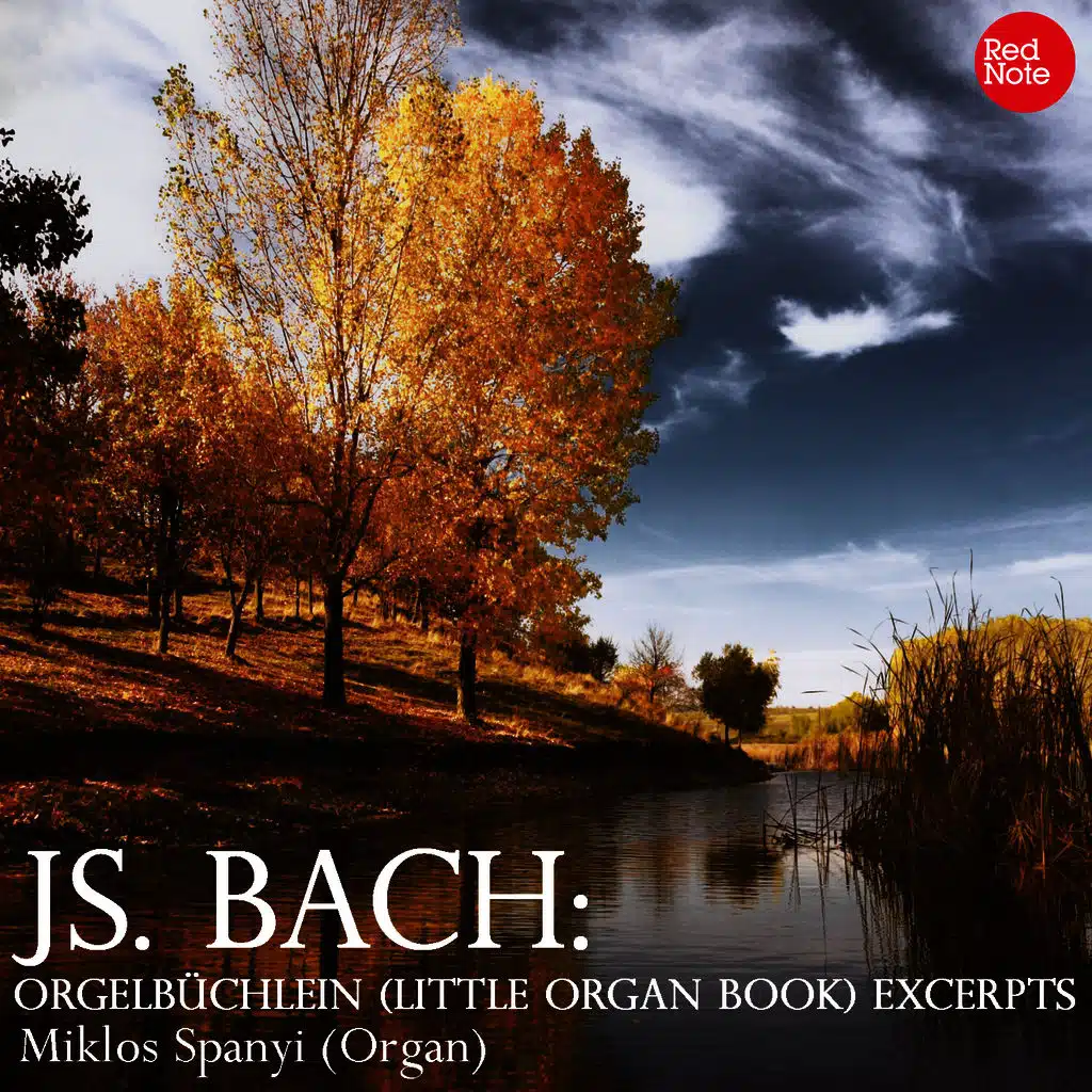 Bach: Orgelbüchlein (Little Organ Book) Excerpts