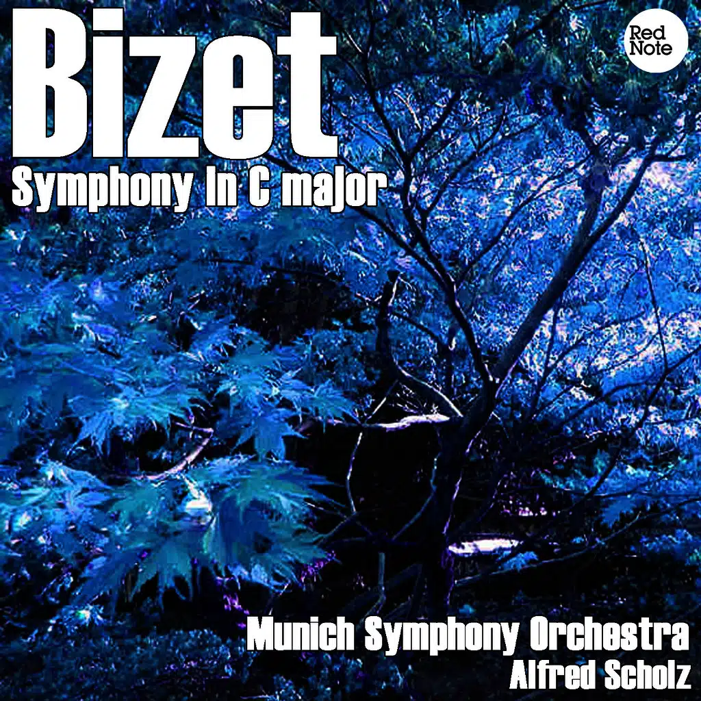 Symphony in C major: I. Allegro vivo - II. Andante - Adagio - III. Allegro vivace - IV. Finale. Allegro vivace