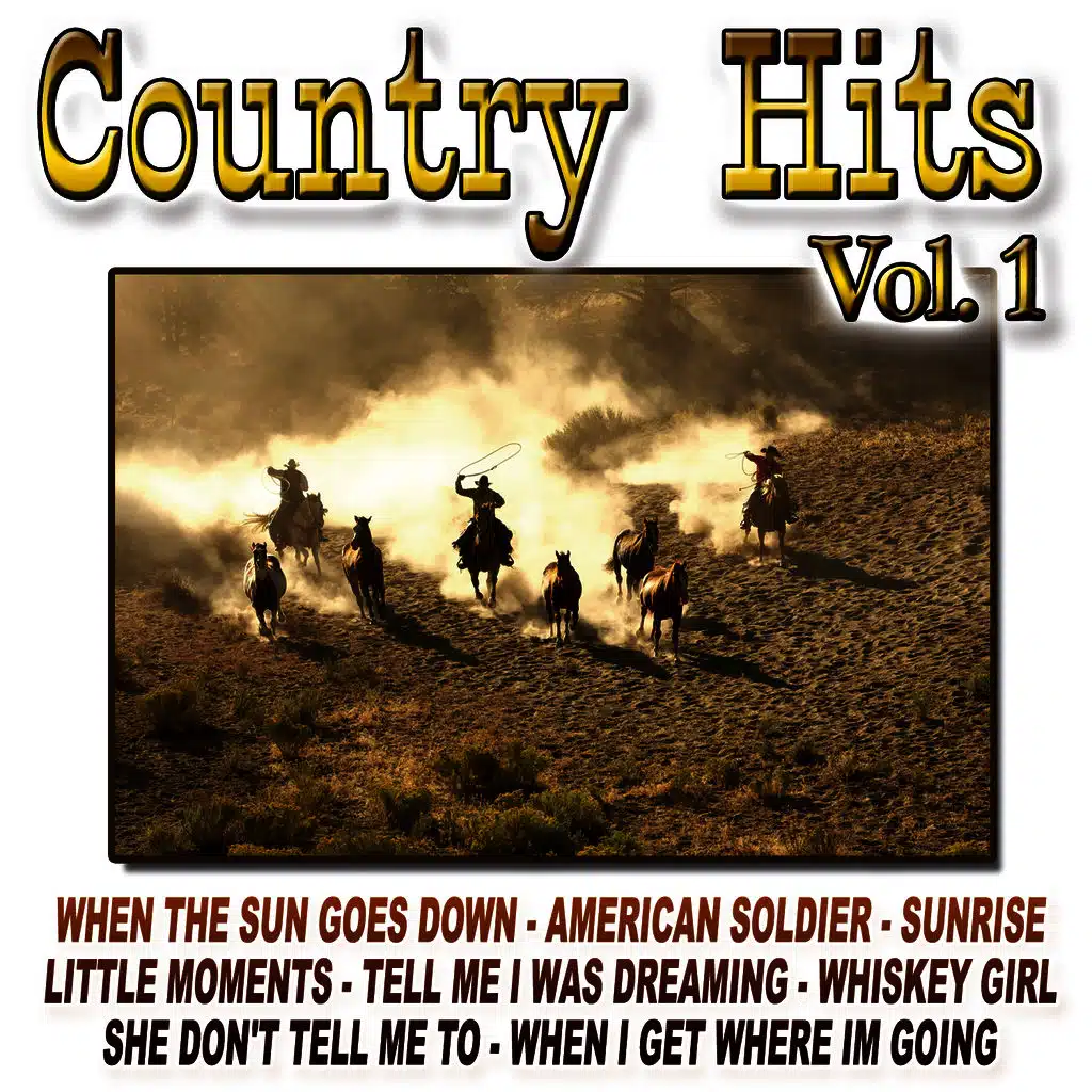 Country Hits Vol.1