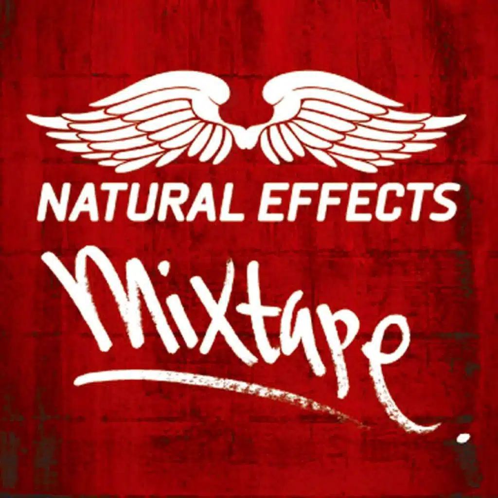 Mixture (feat. Sonic & David)