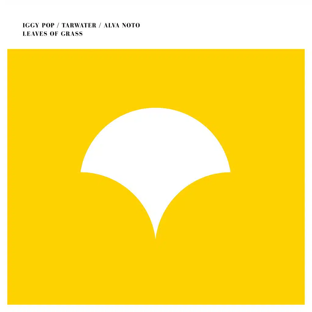 Benny Benass, Iggy Pop