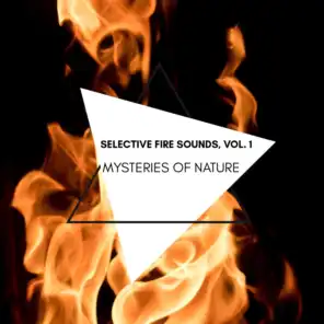 Mysteries of Nature - Selective Fire Sounds, Vol. 1