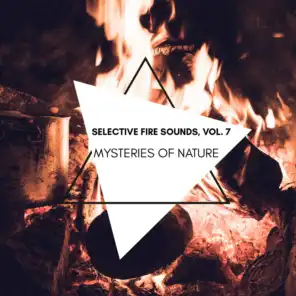 Mysteries of Nature - Selective Fire Sounds, Vol. 7