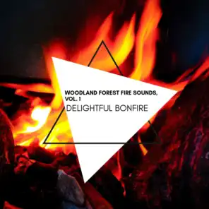 Delightful Bonfire - Woodland Forest Fire Sounds, Vol. 1