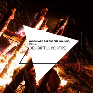 Delightful Bonfire - Woodland Forest Fire Sounds, Vol. 6