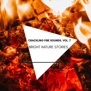 Bright Nature Stories - Crackling Fire Sounds, Vol. 7