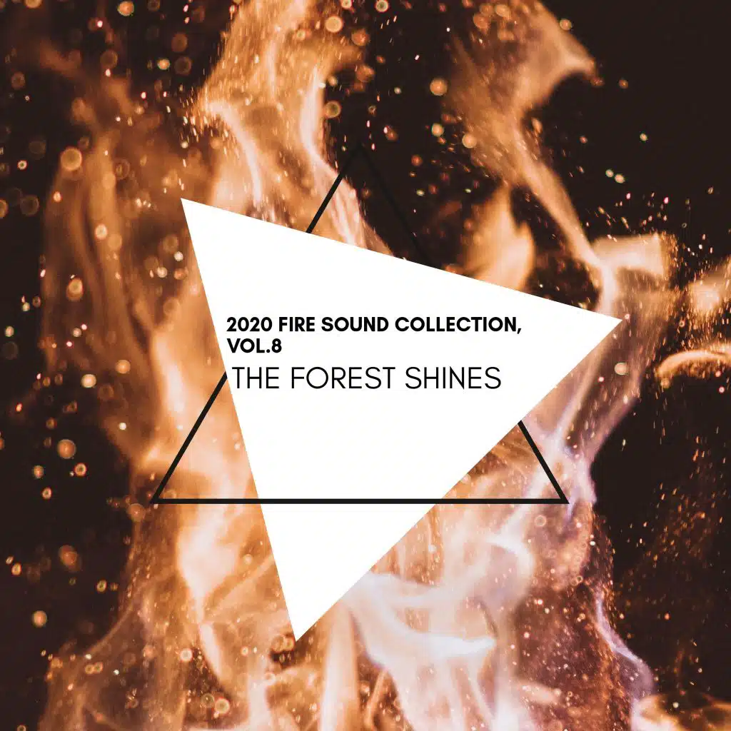 The Forest Shines - 2020 Fire Sound Collection, Vol.8