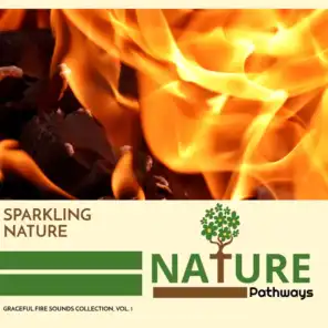 Sparkling Nature - Graceful Fire Sounds Collection, Vol. 1