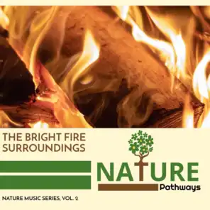 The Bright Fire Surroundings - Nature Music Series, Vol. 2