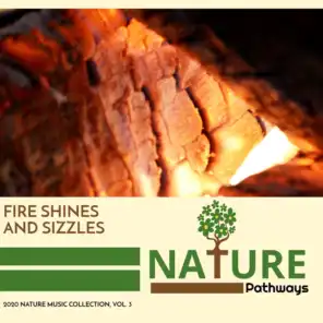 Fire Shines and Sizzles - 2020 Nature Music Collection, Vol. 3