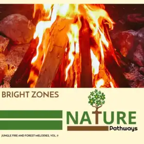 Bright Zones - Jungle Fire and Forest Melodies, Vol. 9