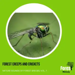 Forest Creeps and Crickets - Nature Sounds of Forest Species, Vol. 7