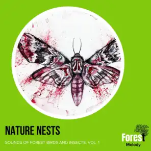 Nature Nests - Sounds of Forest Birds and Insects, Vol. 1