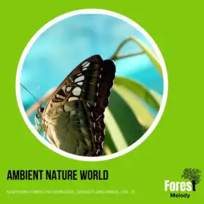 Ambient Nature World - Northern Forest Woodpecker, Crickets and Winds, Vol. 10